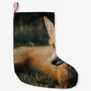 BROWER FOX AUF DEM BODEN KLEINER WEIHNACHTSSTRUMPF