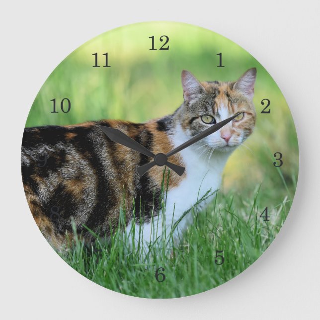 Brown and white cat große wanduhr (Vorderseite)