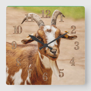 Brown and White Goat Quadratische Wanduhr