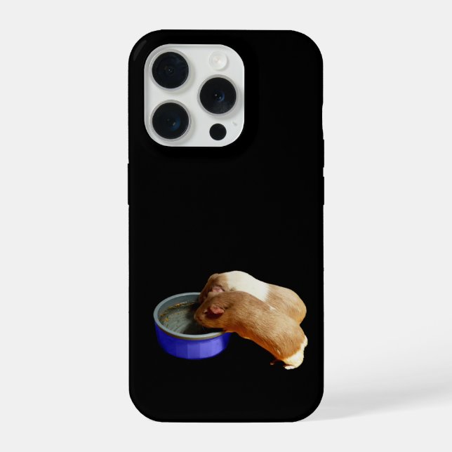 Brown And White Guinea Pigs,  iPhone Hülle (Rückseite)