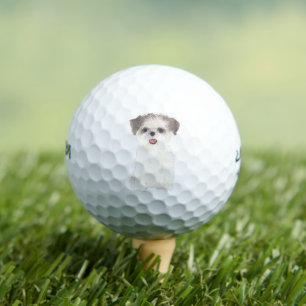 Brown and White Shih Tzu Golfball