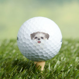 Brown and White Shih Tzu Golfball