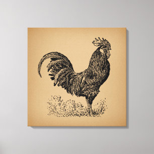 Brown Antique Rooster Illustration Hühnerparadies Leinwanddruck