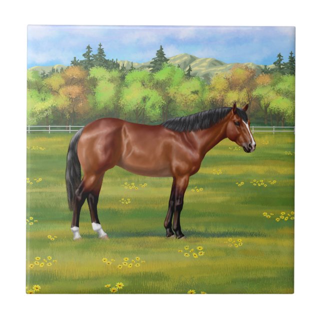 Brown Bay Quarter Horse Fliese (Vorderseite)