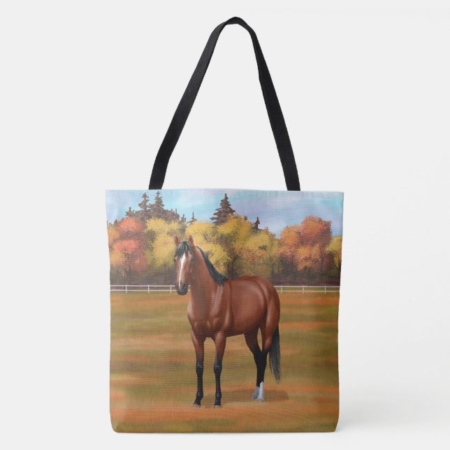 Brown Bay Quarter Horse Stallion (Vorderseite)