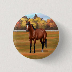 Brown Bay Quarter Horse Stallion Button