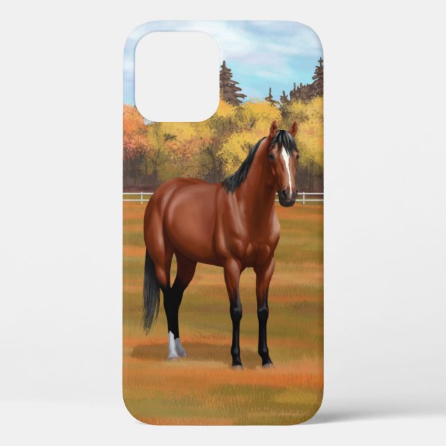 Brown Bay Quarter Horse Stallion Case-Mate iPhone Hülle (Rückseite)