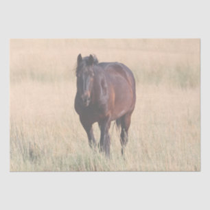 Brown Bay Wild Mustang Horse Seidenpapier