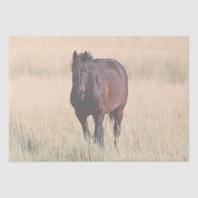 Brown Bay Wild Mustang Horse Seidenpapier (Vorderseite)
