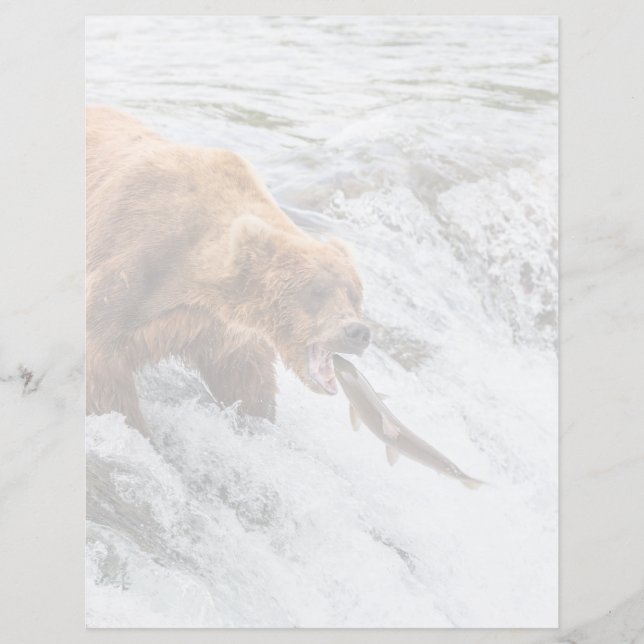 Brown Bear Catches Red Salmon (Vorderseite)