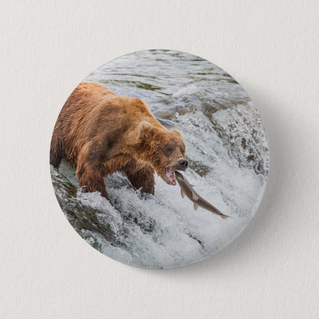 Brown Bear Catches Red Salmon Button (Vorderseite)