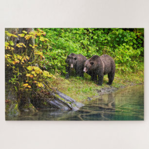 Brown Bear & Cub Hyder, Alaska Puzzle