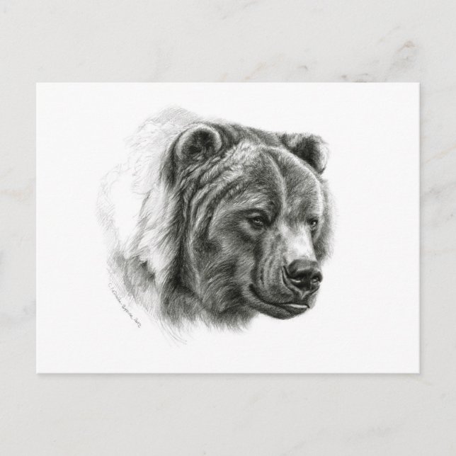 Brown Bear design by Schukina G054 Postkarte (Vorderseite)