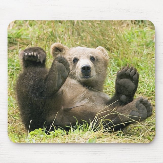 Brown_Bear_Kodiak_NWR Geschenke Mousepad (Vorne)