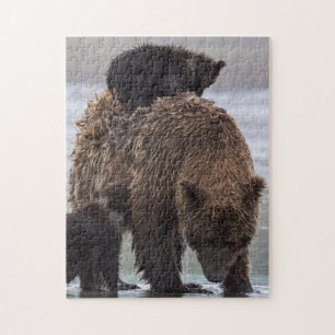 Brown Bear Nationalpark See-Clarks Puzzle