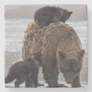 Brown Bear Nationalpark See-Clarks Steinuntersetzer