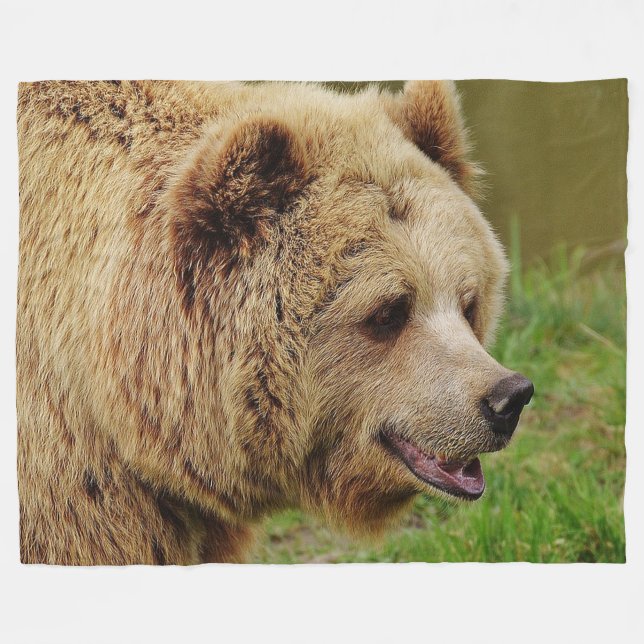 Brown betreffen Fleece-Decke Fleecedecke (Vorderseite (Horizontal))