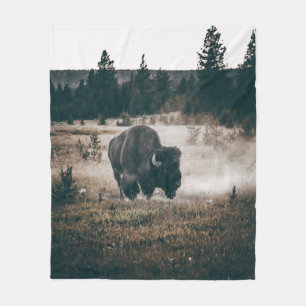 BROWN BISON AUF BROWN GRASS FIELD WÄHREND DES TAGE FLEECEDECKE