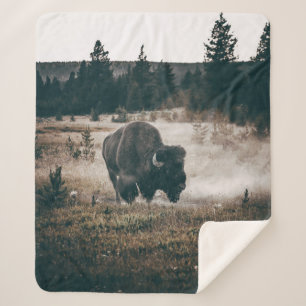 BROWN BISON AUF BROWN GRASS FIELD WÄHREND DES TAGE SHERPADECKE