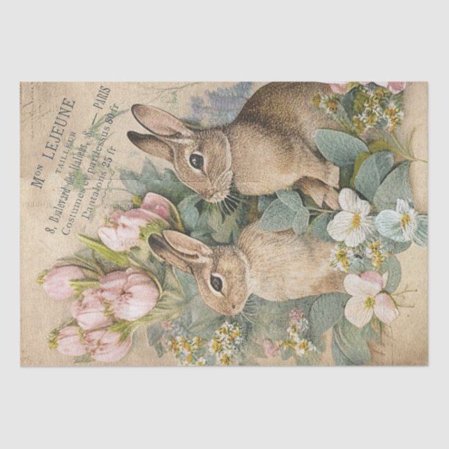 Brown Bunny Rabbit Floral Shabby Französisch Decou Seidenpapier (Vorderseite)