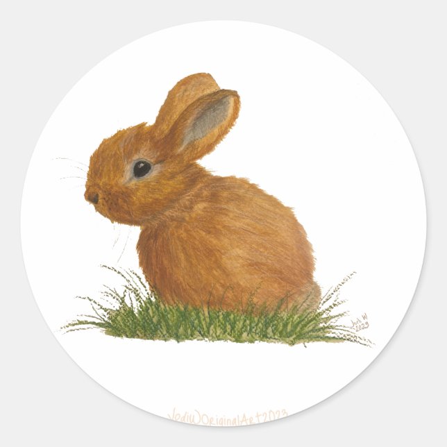 Brown Bunny Sticker (Vorderseite)
