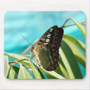 Brown Butterfly Closed Wings Mousepad