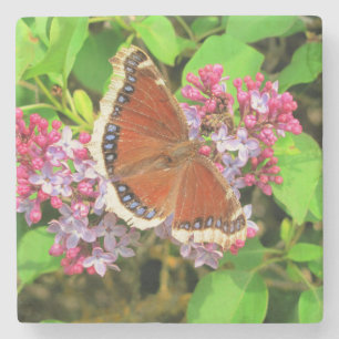 Brown Butterfly mit blauen Flecken auf Lilacs Steinuntersetzer