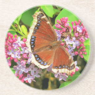 Brown Butterfly mit blauen Flecken auf Lilacs Untersetzer
