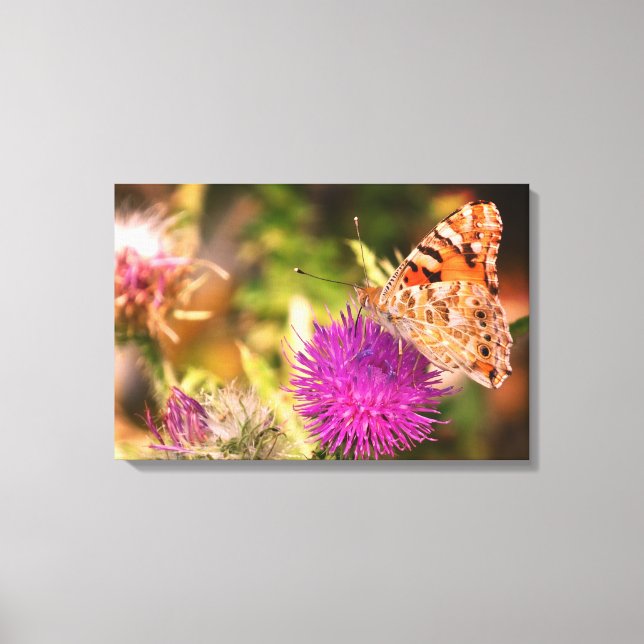 Brown Butterfly Pink Thorn Foto Canvas Print Leinwanddruck (Vorderseite)