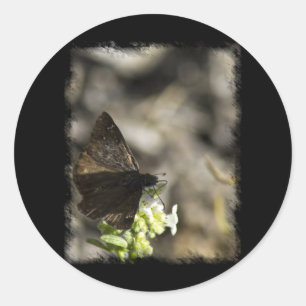 Brown Butterfly Runder Aufkleber