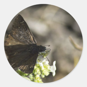 Brown Butterfly Runder Aufkleber