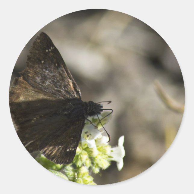 Brown Butterfly Runder Aufkleber (Vorderseite)