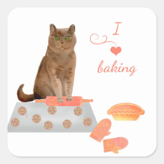 Brown Cat Backkost und Kuchen Quadratischer Aufkleber