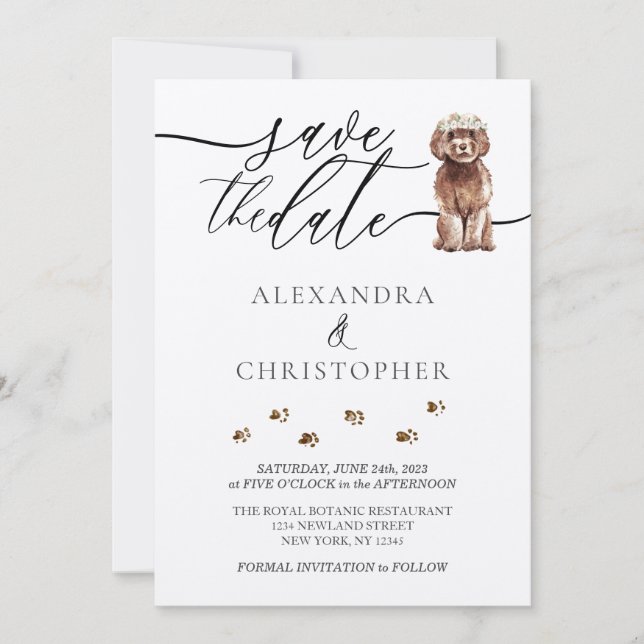 Brown Cavapoo Welpe Wedding Calligrafy Skript Save The Date (Vorderseite)
