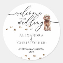 Brown Cavapoo Welpen Hund Hochzeit Begrüßung