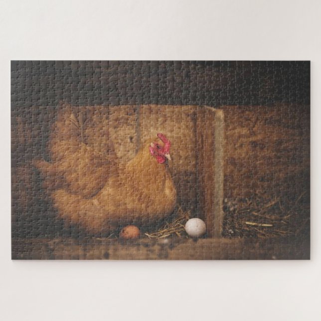 Brown chicken laying eggs puzzle (Horizontal)