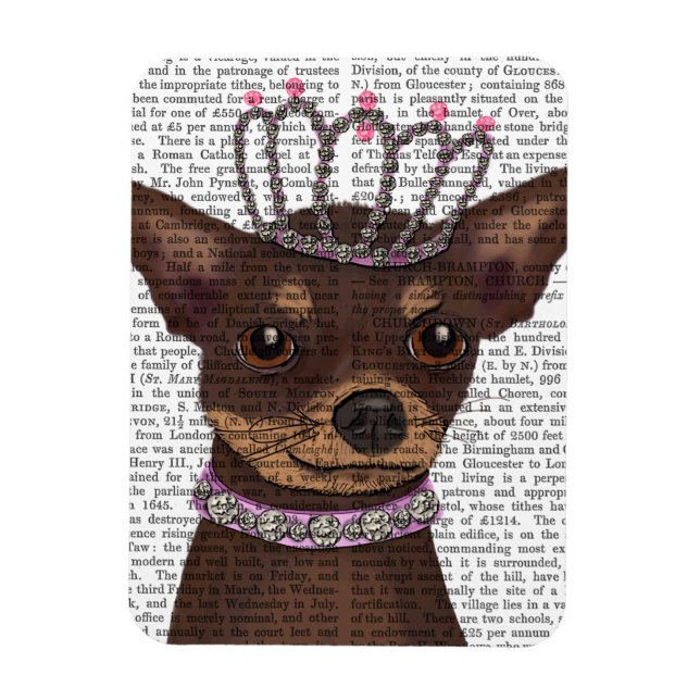 Brown Chihuahua und Tiara Magnet (Vertikal)
