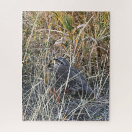 Brown Chukar Partridge fast versteckt Puzzle