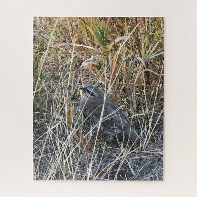 Brown Chukar Partridge fast versteckt Puzzle (Vertikal)