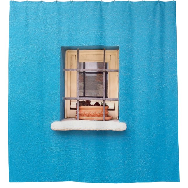 BROWN CLAY POT ON WINDOW DUSCHVORHANG (Vorderseite)