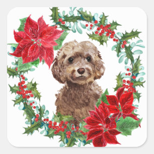 Brown Cockapoo Dog Poinsettia Weihnachtsschaden Quadratischer Aufkleber