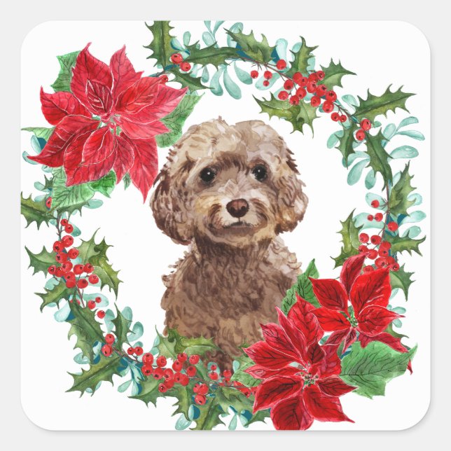 Brown Cockapoo Dog Poinsettia Weihnachtsschaden Quadratischer Aufkleber (Vorderseite)