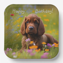 Brown Cocker Spaniel