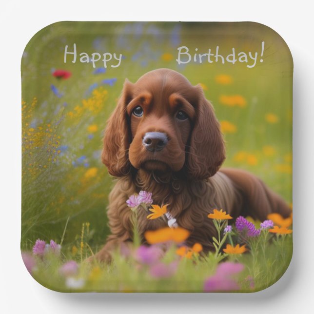 Brown Cocker Spaniel Pappteller (Vorderseite)