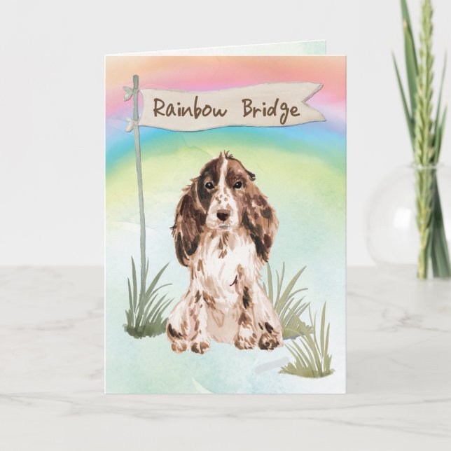 Brown Cocker Spanisch Pet Beileid über Regenbogen Karte (Vorderseite)