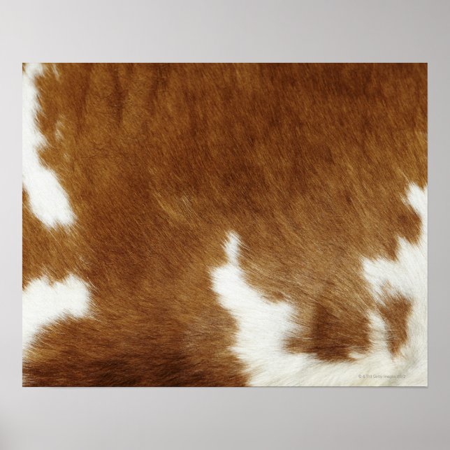 Brown Cowhide Print Poster (Vorne)