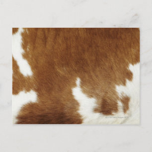 Brown Cowhide Print Postkarte