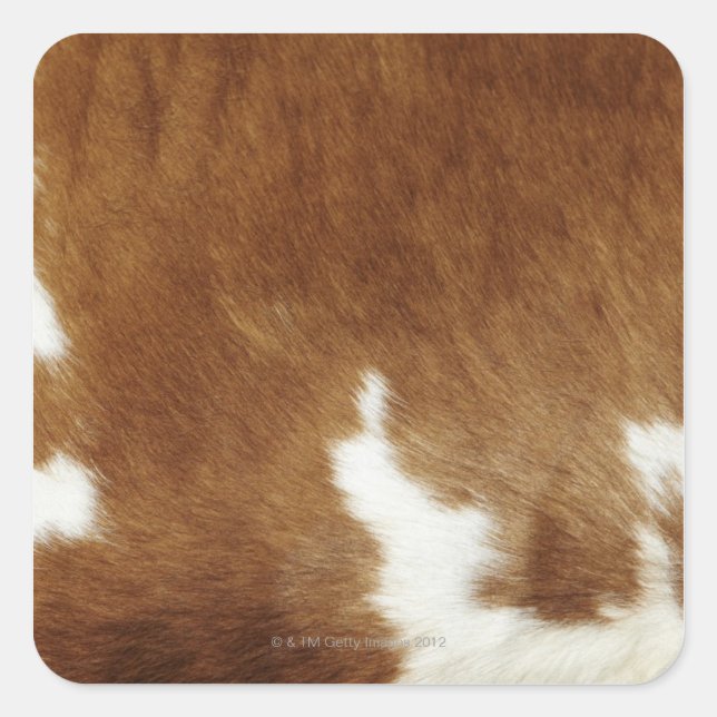 Brown Cowhide Print Quadratischer Aufkleber (Vorderseite)