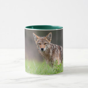 Brown Coyote, kanadische Tierfotografie Tasse