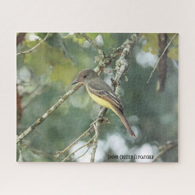 Brown Crested Flycatcher, Vogelliebhaber Puzzle (Horizontal)